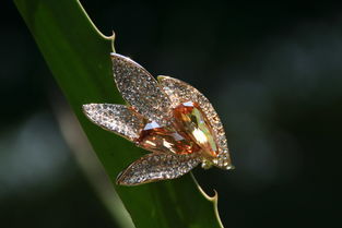 歌詩莉飾品 麥秸畫藝術點亮店鋪裝修，展現獨特產品魅力